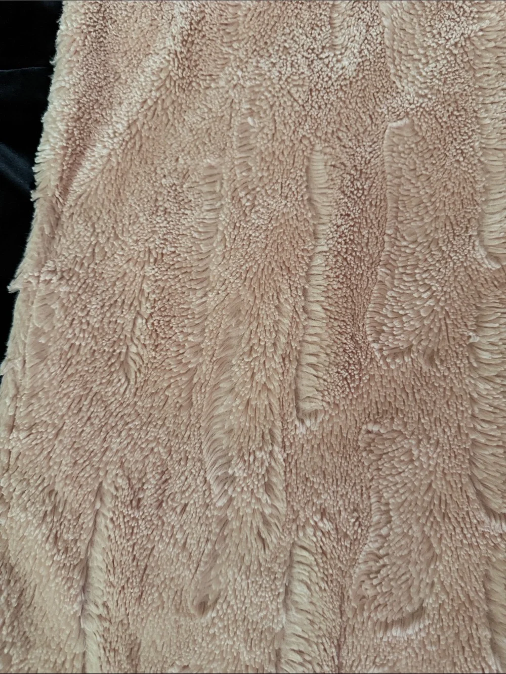 Minky Couture blanket